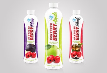 corporate-identity-food