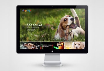 dogaloo-dog-collars