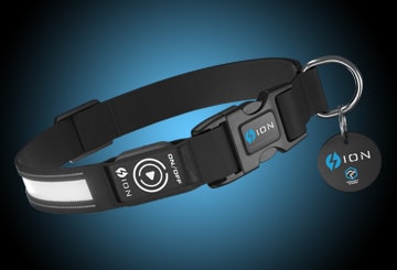 dog-collar-design