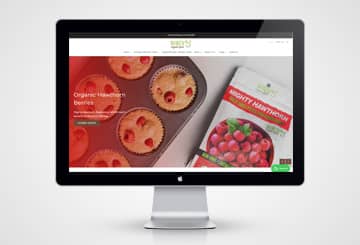pazzo-sports-business-website